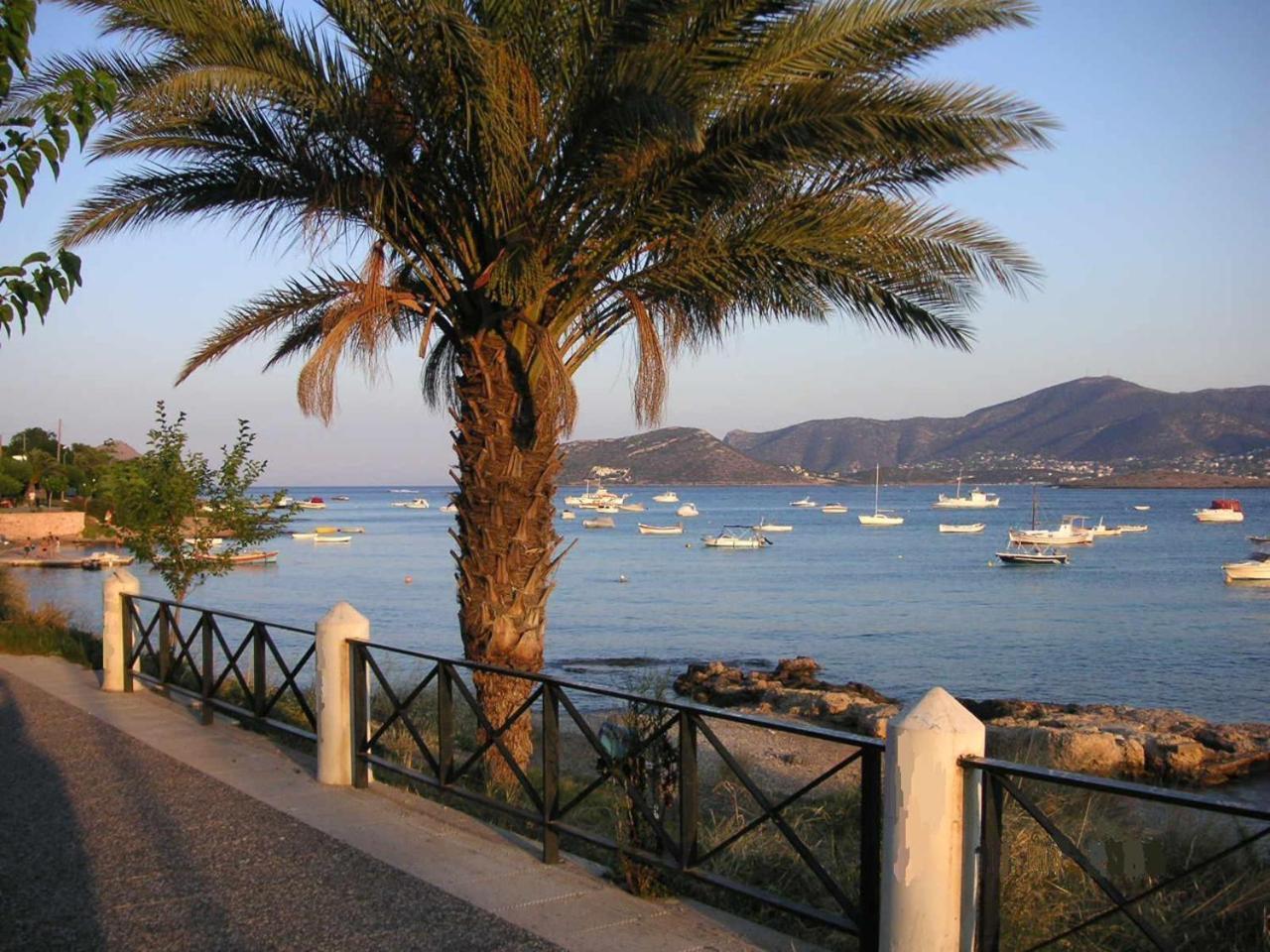 The Mirador Boutique Villa With Scenic Sea View Pórto Ráfti Esterno foto